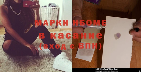 стаф Арсеньев