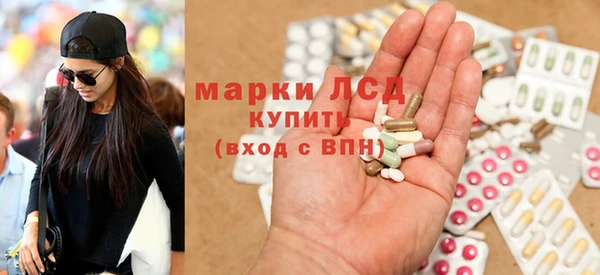 стаф Арсеньев