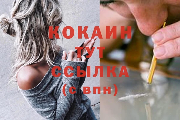 стаф Арсеньев