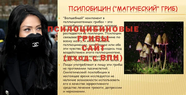 стаф Арсеньев
