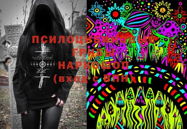 стаф Арсеньев