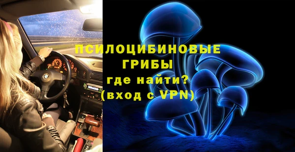 стаф Арсеньев